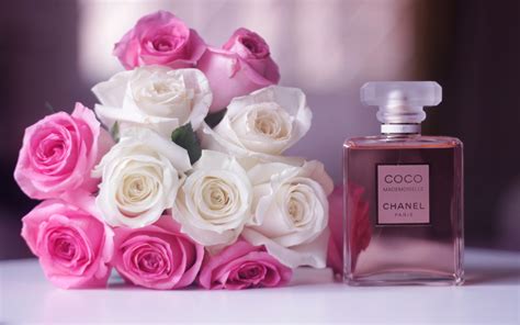 papel de parede chanel|Chanel Coco, Mademoiselle, Perfume, HD papel de parede.